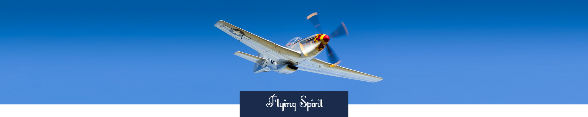 Show aérien Flying Spirit par Bleuciel